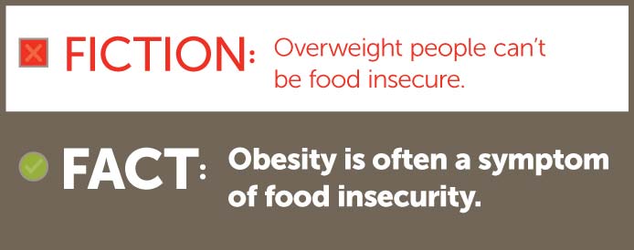 Fiction - Overweight people can't be food insecure