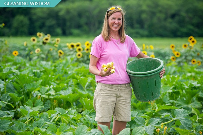 Potato Gleaning Community Service Opportunity