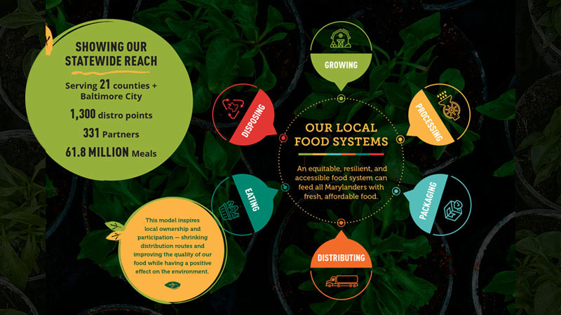 Our Local Food Systems