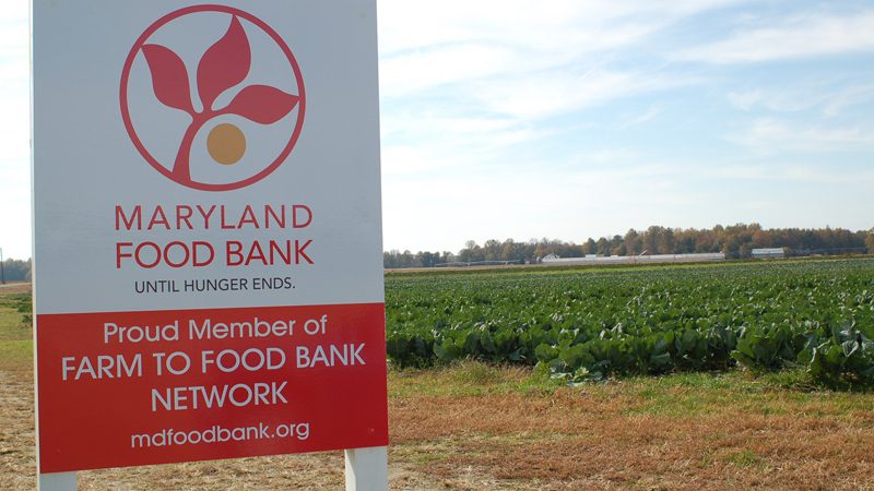 Maryland Food Bank proud member of Farm To Food Bank network sign next to a farmer field