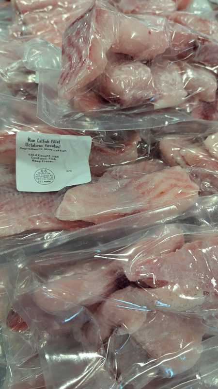 many packaged blue catfish filets