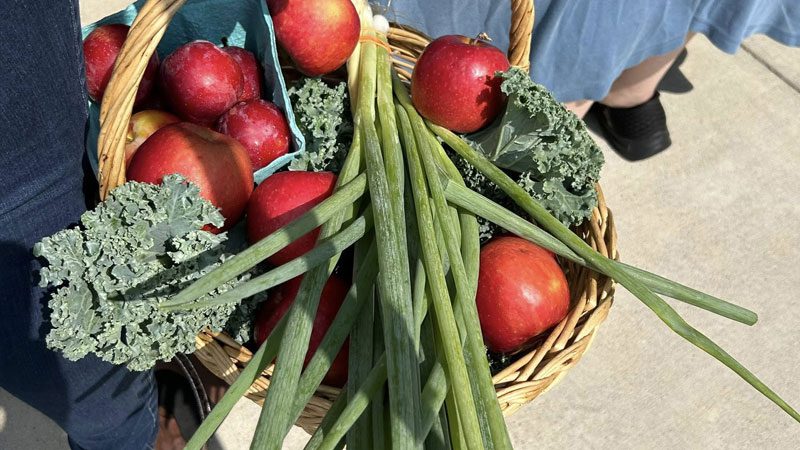 various fresh vegetables including kale from Farm To Schools Veggie Van