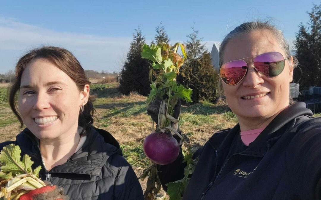 Farm Partner Spotlight: Black Gold Farms